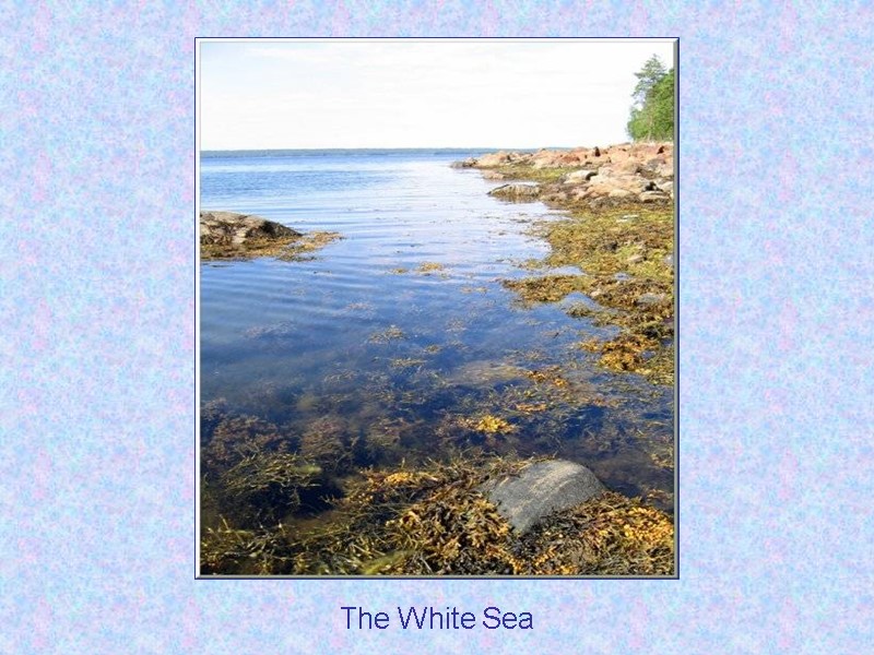 The White Sea